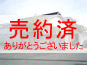 売約済