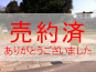 売約済