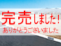 完売しました!